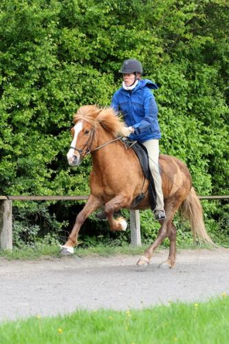 lb1d4725 grennderung