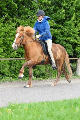 lb1d4727 grennderung