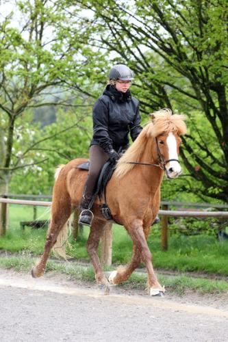 lb1d4729 grennderung