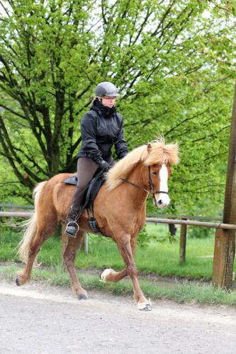 lb1d4730 grennderung