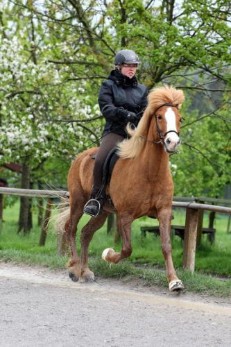 lb1d4731 grennderung