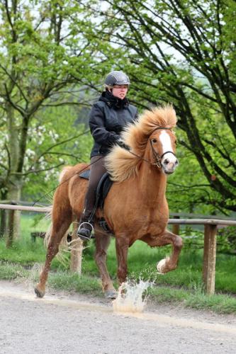 lb1d4732 grennderung