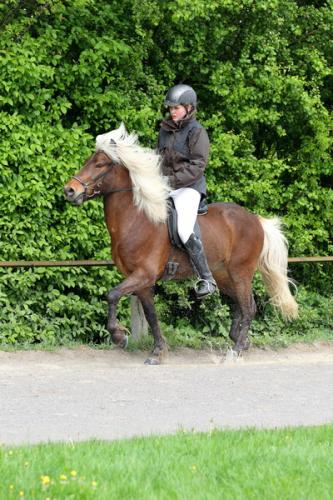 lb1d4733 grennderung