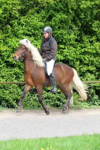 lb1d4734 grennderung