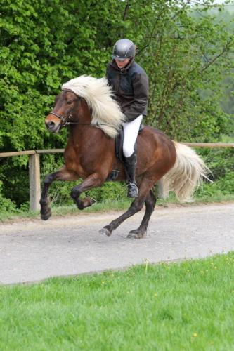 lb1d4735 grennderung