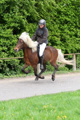 lb1d4736 grennderung