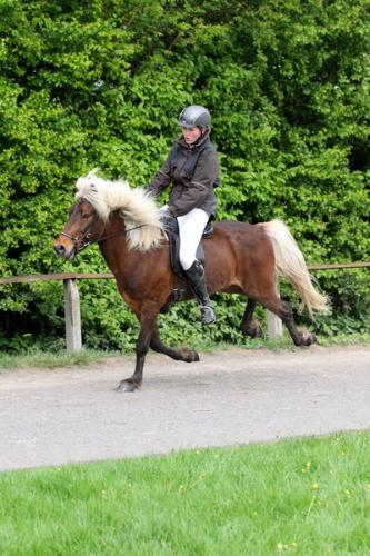 lb1d4737 grennderung