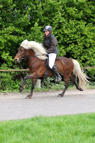 lb1d4738 grennderung