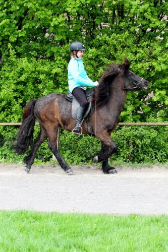 lb1d4739 grennderung