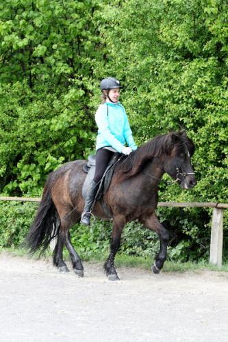 lb1d4741 grennderung