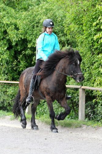 lb1d4742 grennderung