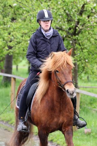 lb1d4743 grennderung