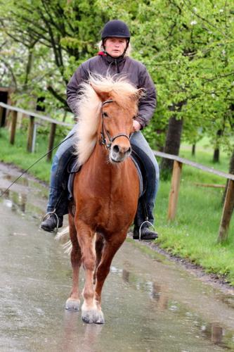 lb1d4746 grennderung