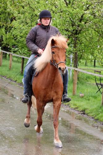 lb1d4747 grennderung