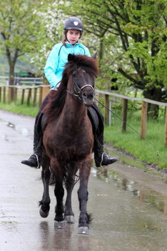 lb1d4748 grennderung