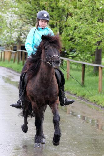 lb1d4749 grennderung