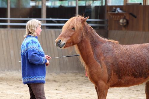 lb1d4754 grennderung