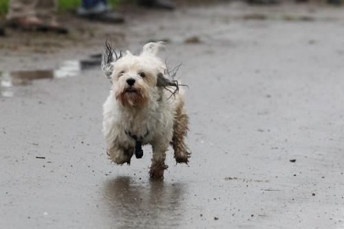 lb1d4758 grennderung