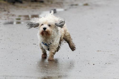 lb1d4760 grennderung