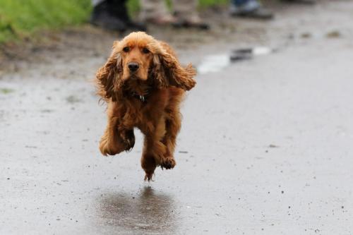 lb1d4762 grennderung