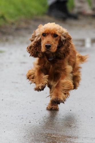 lb1d4763 grennderung