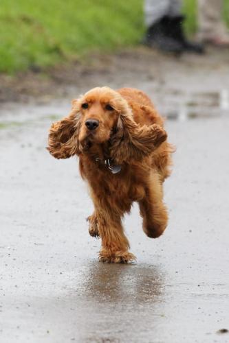 lb1d4764 grennderung