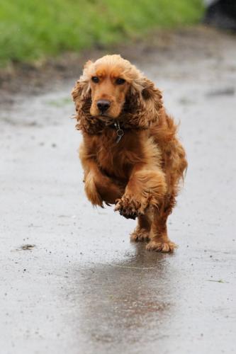 lb1d4765 grennderung