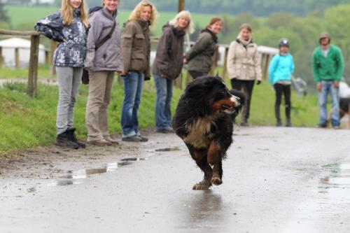 lb1d4766 grennderung