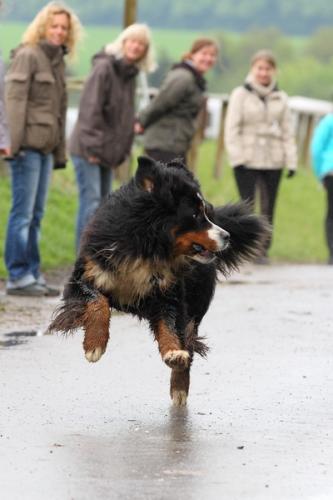 lb1d4767 grennderung