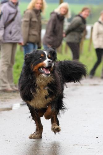 lb1d4769 grennderung