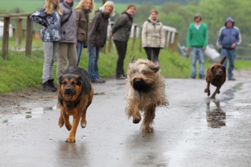 lb1d4772 grennderung