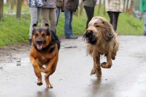 lb1d4773 grennderung