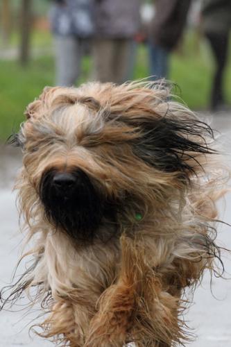 lb1d4776 grennderung