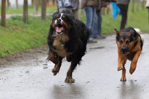 lb1d4780 grennderung