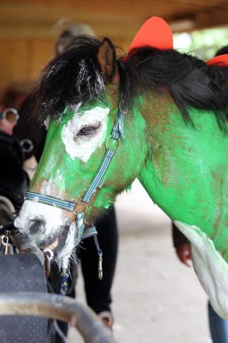 lb1d4787 grennderung