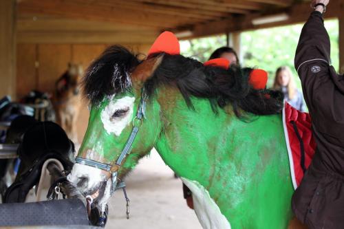 lb1d4789 grennderung