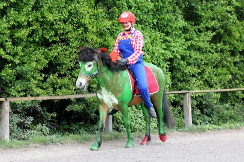 lb1d4795 grennderung