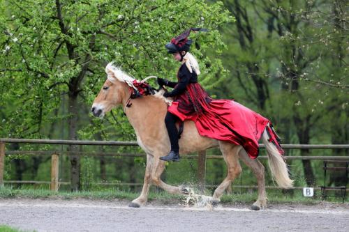 lb1d4797 grennderung