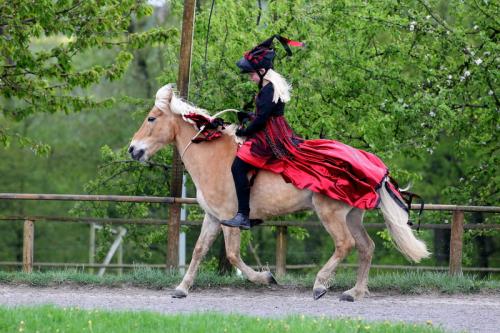 lb1d4798 grennderung