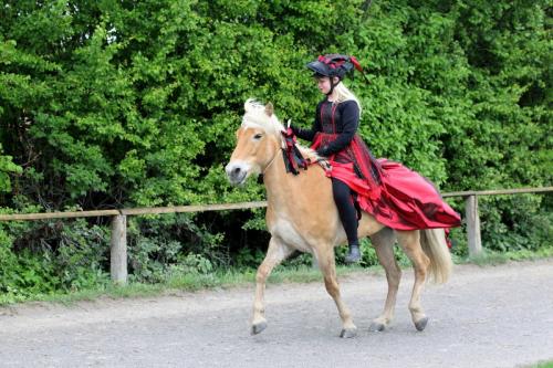 lb1d4800 grennderung