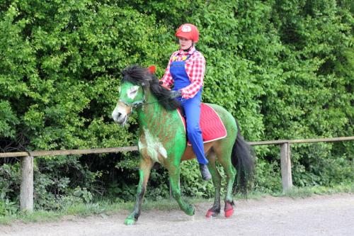 lb1d4803 grennderung