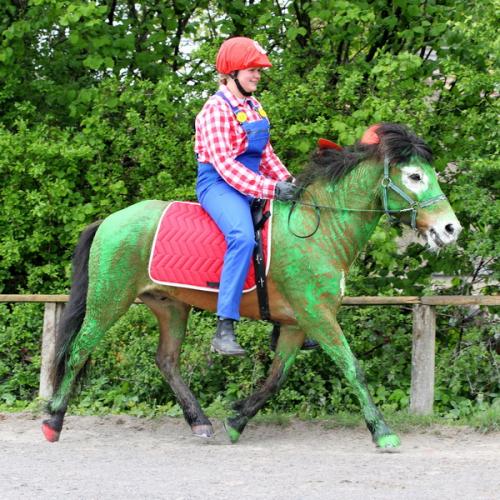 lb1d4805 grennderung