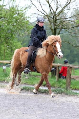 lb1d4816 grennderung