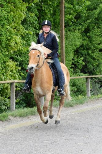 lb1d4837 grennderung