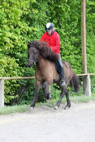 lb1d4843 grennderung