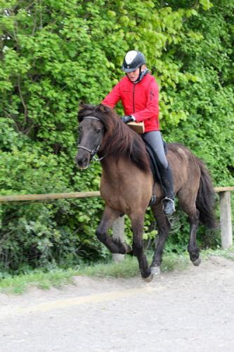 lb1d4844 grennderung