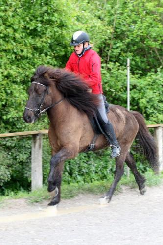 lb1d4846 grennderung